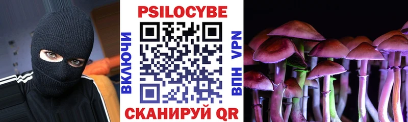 Купить  Ангарск  Галлюциногенные грибы Psilocybe 
